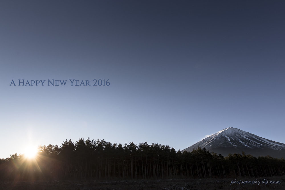 New year photo _MG_8781