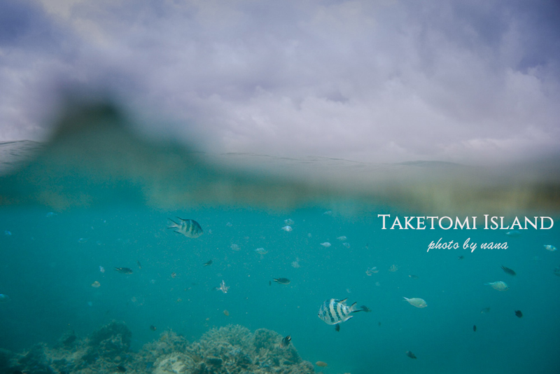 Taketomi-Diving_DSC0815