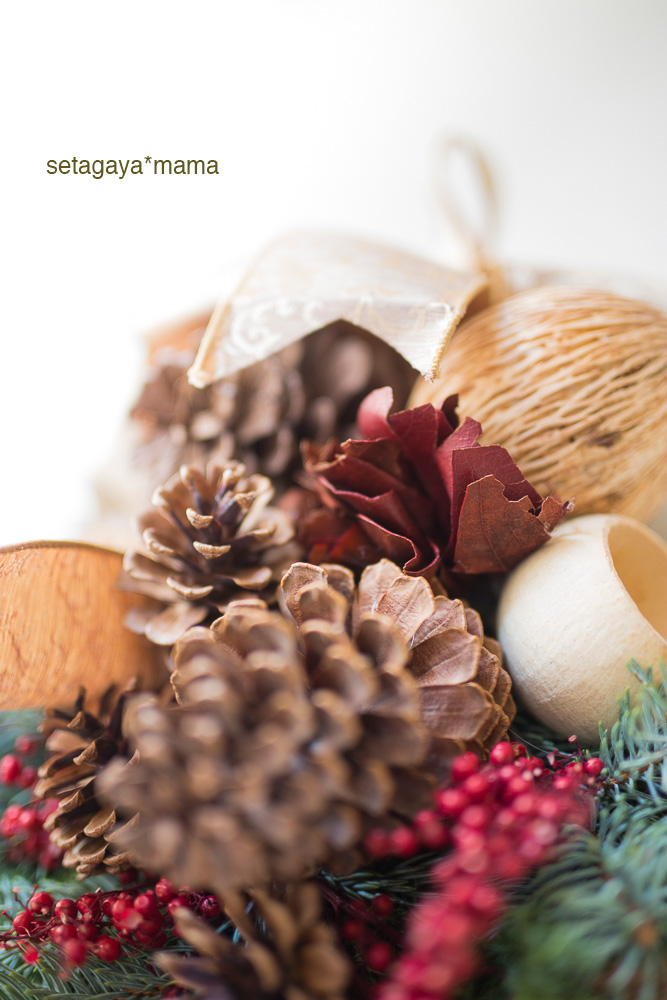 christmas-wreath_MG_2184