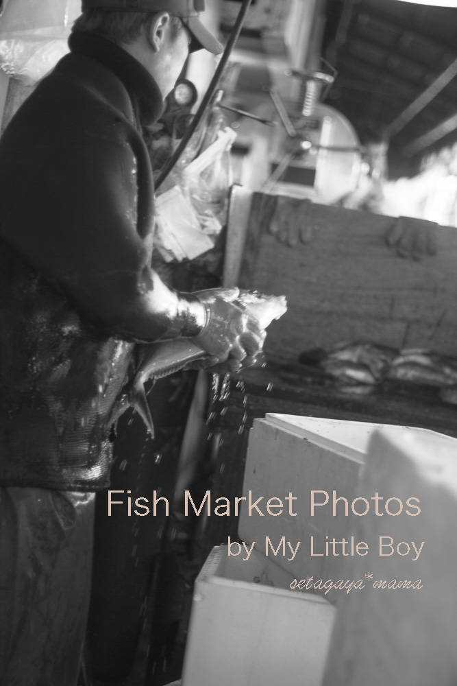 fish-market-IMG_4575