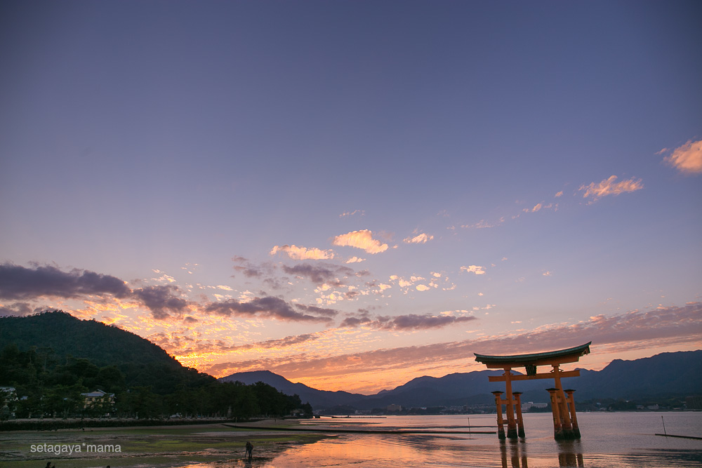 itsukushima_MG_0154