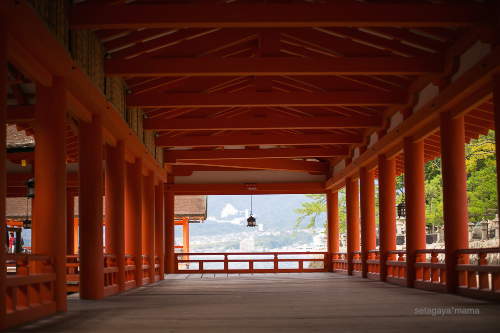 itsukushima_MG_9764