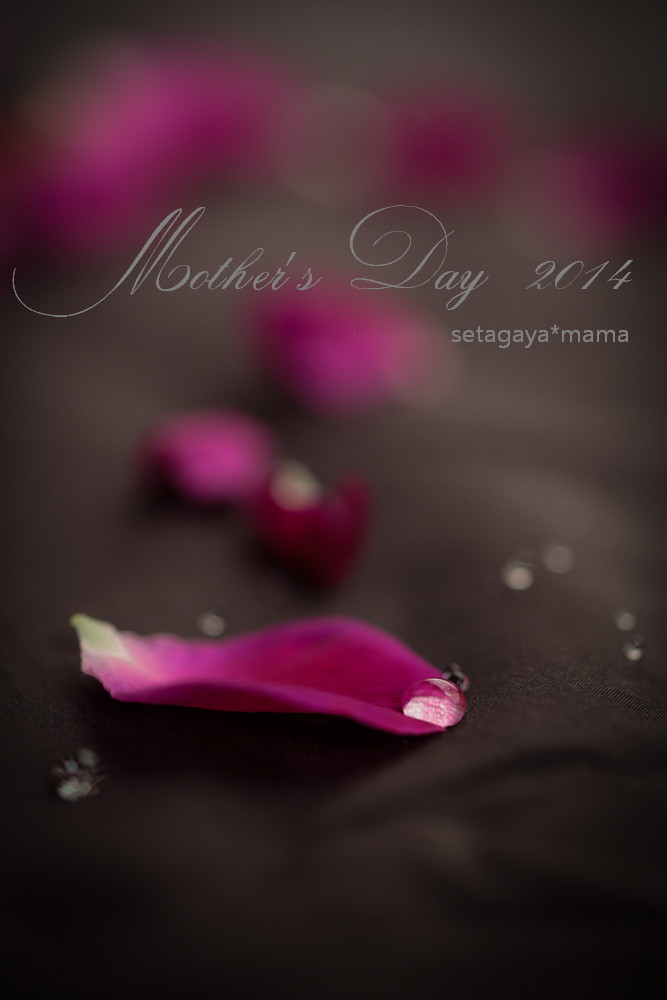 mothers day _MG_9546
