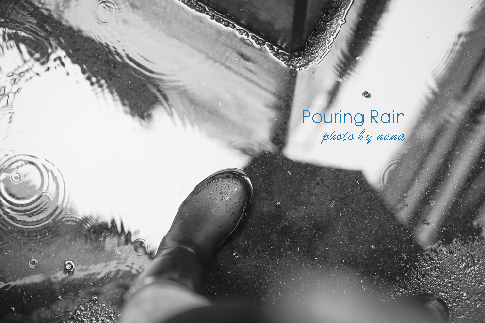 pouring-rain-_MG_0596
