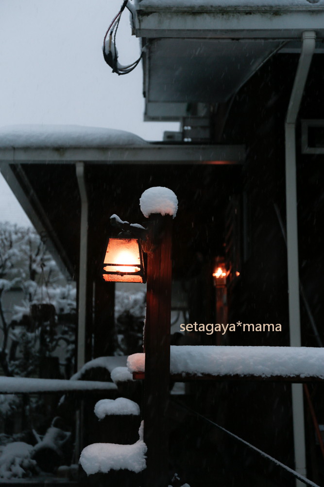 snow 2014 _MG_2961