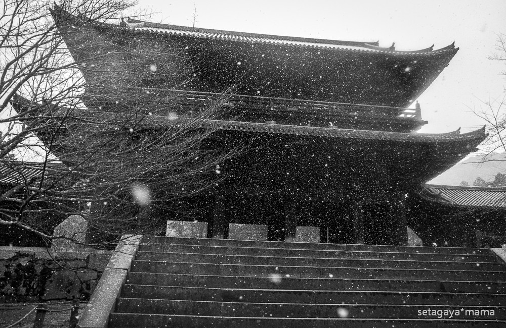 snowing kyoto_MG_4770