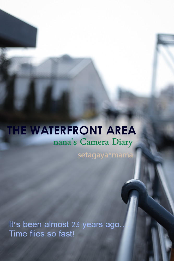 waterfront _MG_2509